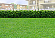 Lot for Sale in Sorsogon City, Sorsogon
